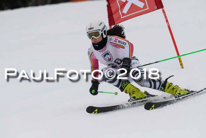 Int. FIS Rennen Damen, RS, Maria Alm 09.01.2018