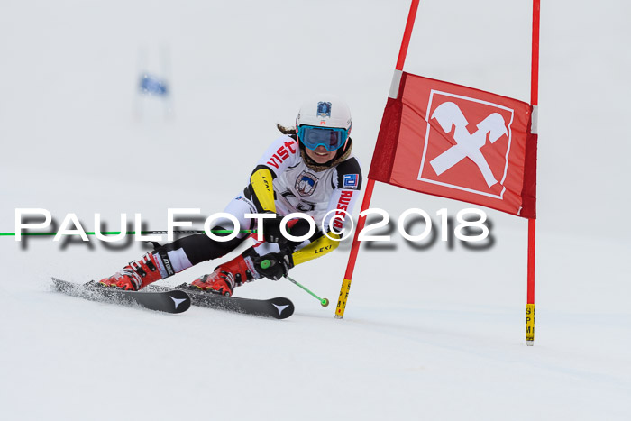 Int. FIS Rennen Damen, RS, Maria Alm 09.01.2018