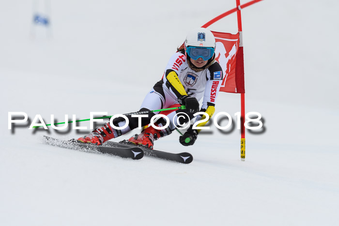 Int. FIS Rennen Damen, RS, Maria Alm 09.01.2018