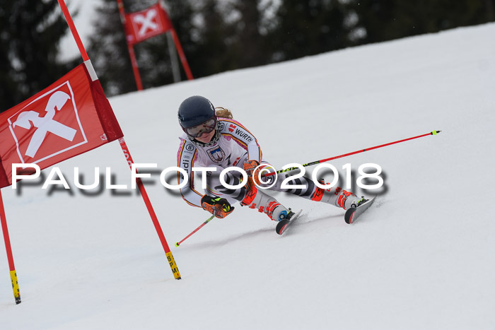Int. FIS Rennen Damen, RS, Maria Alm 09.01.2018
