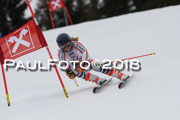 Int. FIS Rennen Damen, RS, Maria Alm 09.01.2018