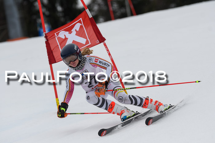 Int. FIS Rennen Damen, RS, Maria Alm 09.01.2018