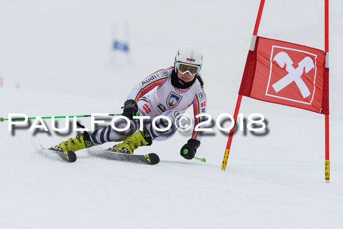 Int. FIS Rennen Damen, RS, Maria Alm 09.01.2018