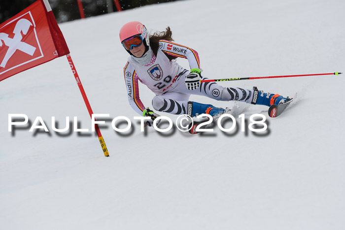 Int. FIS Rennen Damen, RS, Maria Alm 09.01.2018