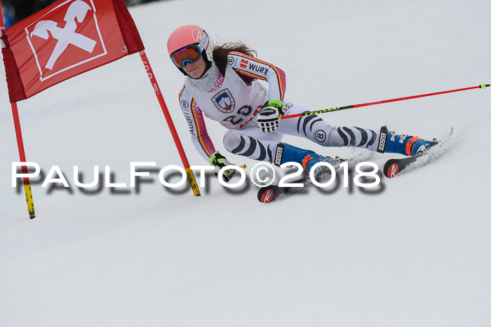 Int. FIS Rennen Damen, RS, Maria Alm 09.01.2018