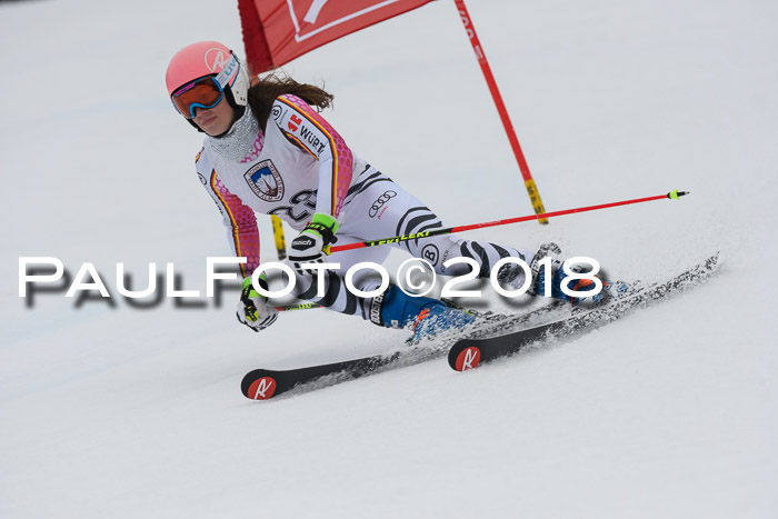 Int. FIS Rennen Damen, RS, Maria Alm 09.01.2018