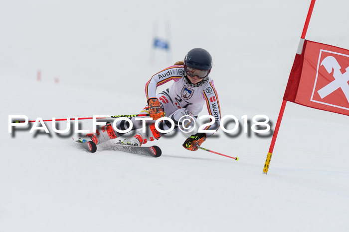 Int. FIS Rennen Damen, RS, Maria Alm 09.01.2018