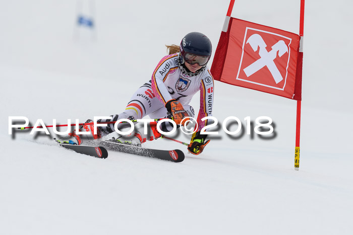 Int. FIS Rennen Damen, RS, Maria Alm 09.01.2018