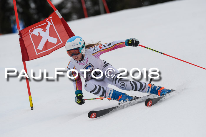 Int. FIS Rennen Damen, RS, Maria Alm 09.01.2018