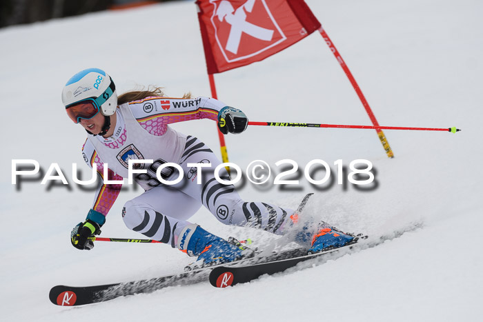 Int. FIS Rennen Damen, RS, Maria Alm 09.01.2018