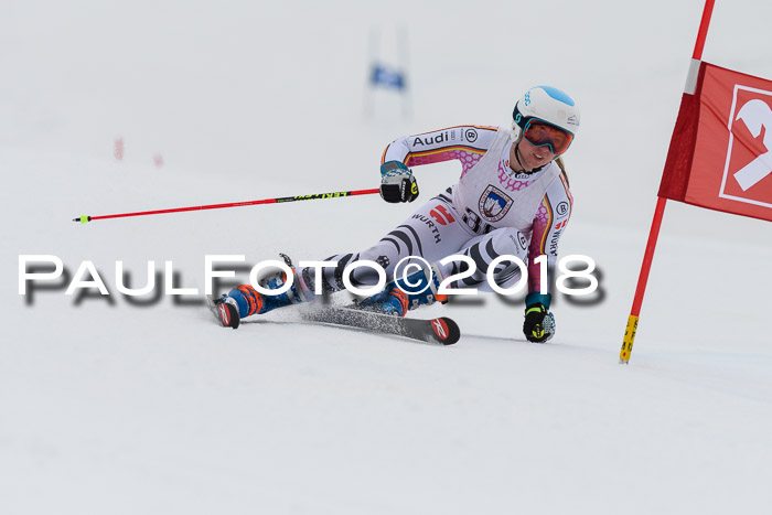 Int. FIS Rennen Damen, RS, Maria Alm 09.01.2018