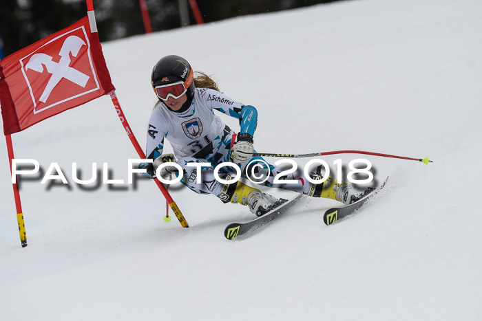 Int. FIS Rennen Damen, RS, Maria Alm 09.01.2018
