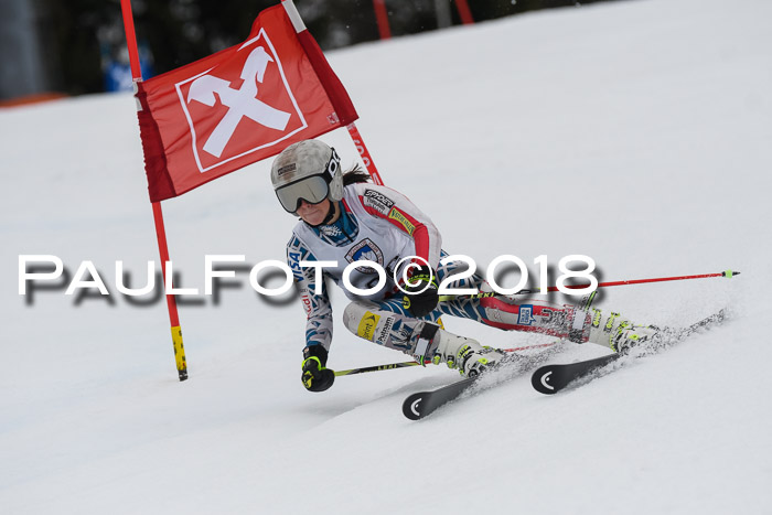 Int. FIS Rennen Damen, RS, Maria Alm 09.01.2018