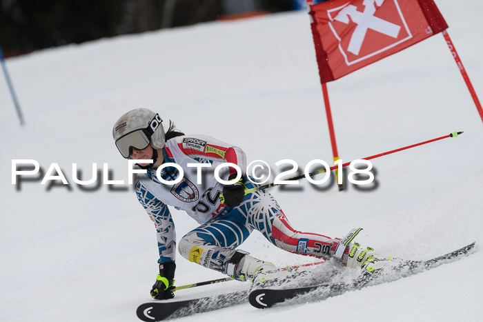 Int. FIS Rennen Damen, RS, Maria Alm 09.01.2018