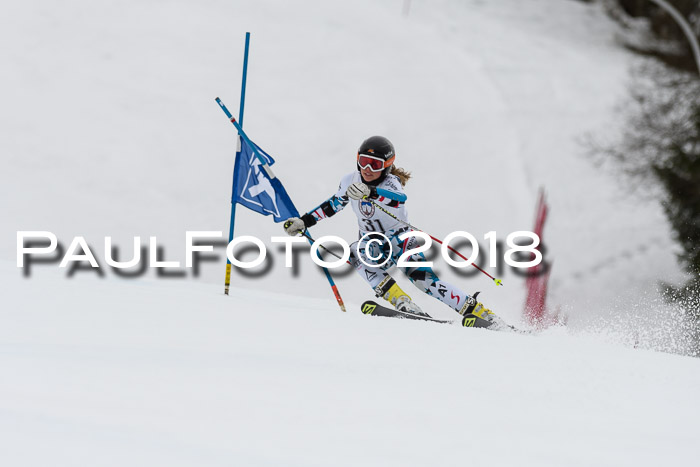 Int. FIS Rennen Damen, RS, Maria Alm 09.01.2018
