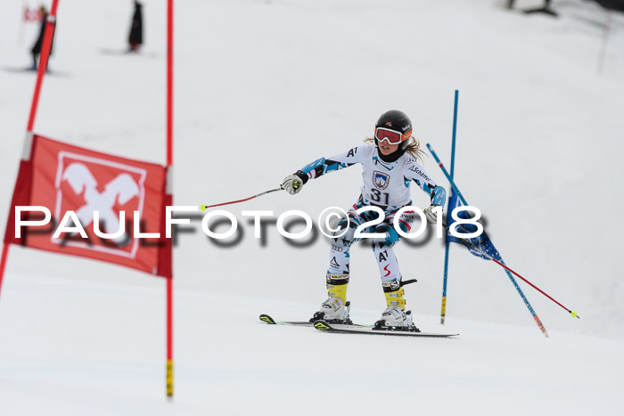 Int. FIS Rennen Damen, RS, Maria Alm 09.01.2018