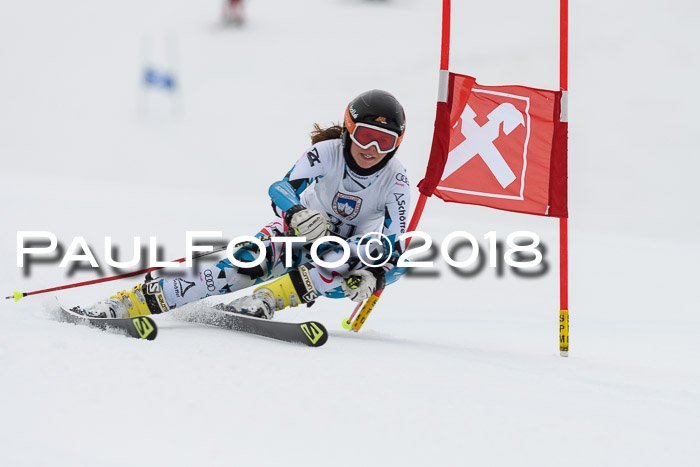 Int. FIS Rennen Damen, RS, Maria Alm 09.01.2018