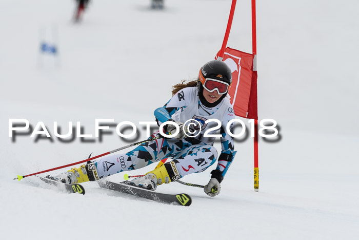 Int. FIS Rennen Damen, RS, Maria Alm 09.01.2018