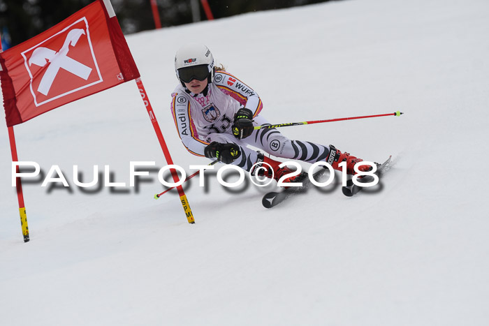 Int. FIS Rennen Damen, RS, Maria Alm 09.01.2018