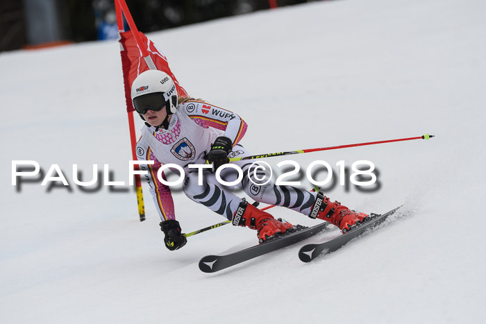 Int. FIS Rennen Damen, RS, Maria Alm 09.01.2018