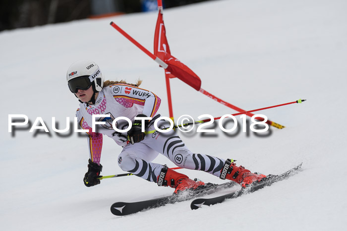Int. FIS Rennen Damen, RS, Maria Alm 09.01.2018