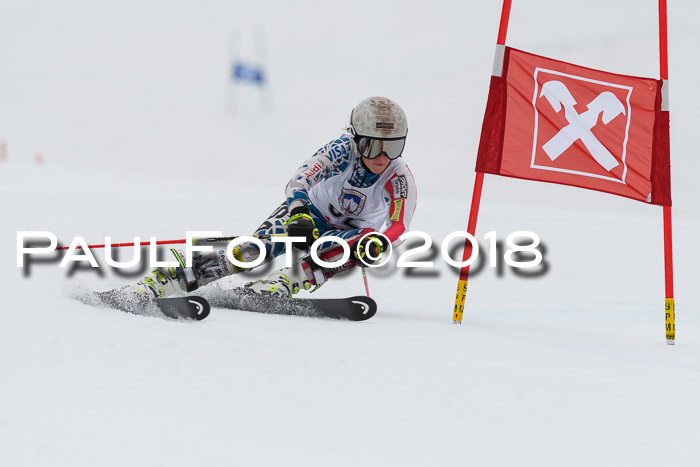 Int. FIS Rennen Damen, RS, Maria Alm 09.01.2018