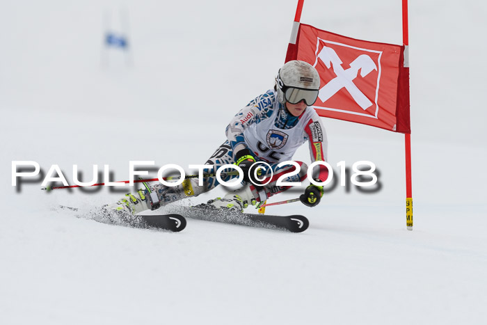 Int. FIS Rennen Damen, RS, Maria Alm 09.01.2018