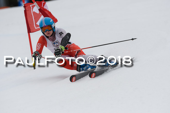 Int. FIS Rennen Damen, RS, Maria Alm 09.01.2018