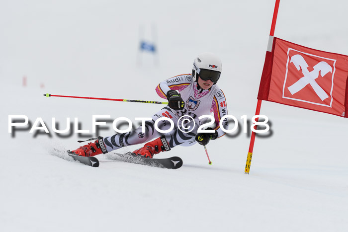 Int. FIS Rennen Damen, RS, Maria Alm 09.01.2018