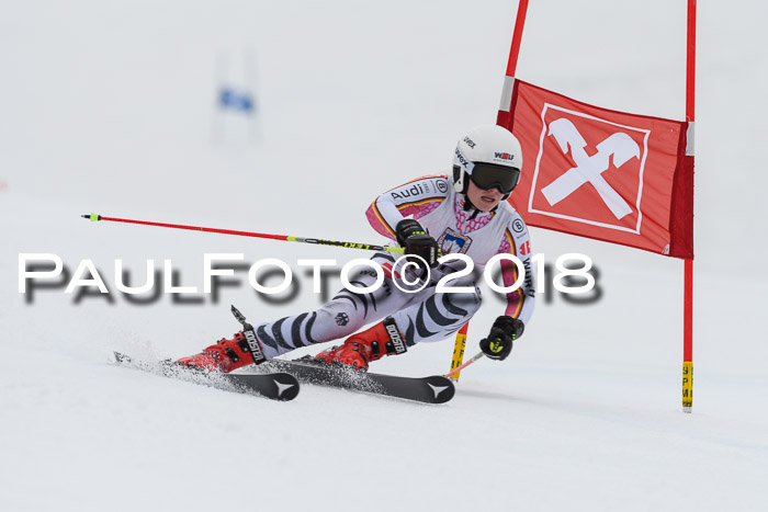 Int. FIS Rennen Damen, RS, Maria Alm 09.01.2018
