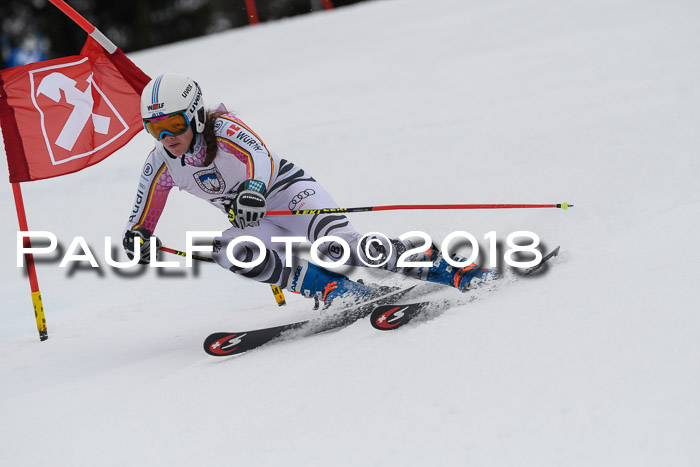 Int. FIS Rennen Damen, RS, Maria Alm 09.01.2018