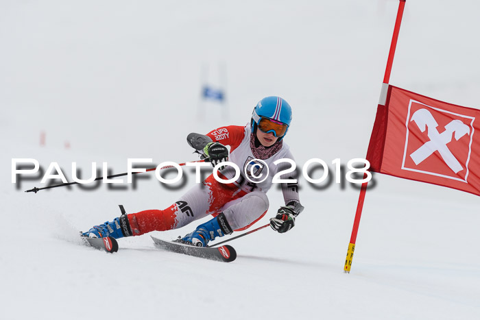 Int. FIS Rennen Damen, RS, Maria Alm 09.01.2018