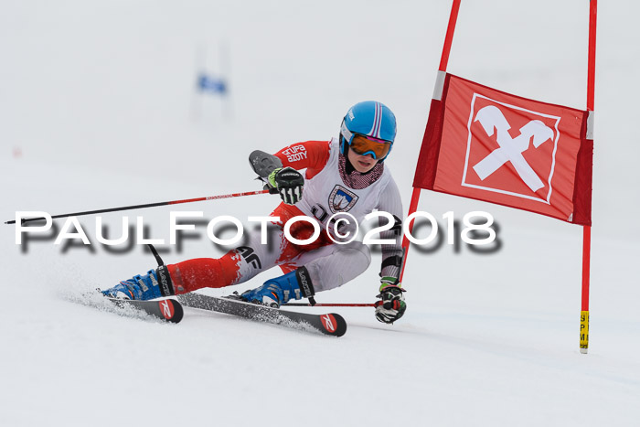 Int. FIS Rennen Damen, RS, Maria Alm 09.01.2018