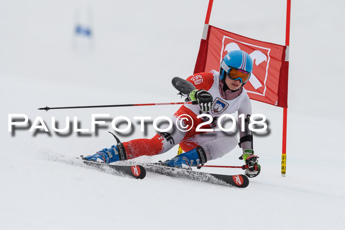 Int. FIS Rennen Damen, RS, Maria Alm 09.01.2018