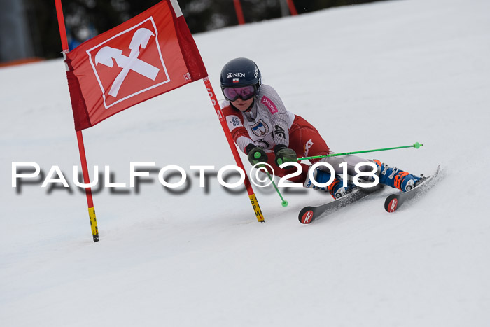 Int. FIS Rennen Damen, RS, Maria Alm 09.01.2018