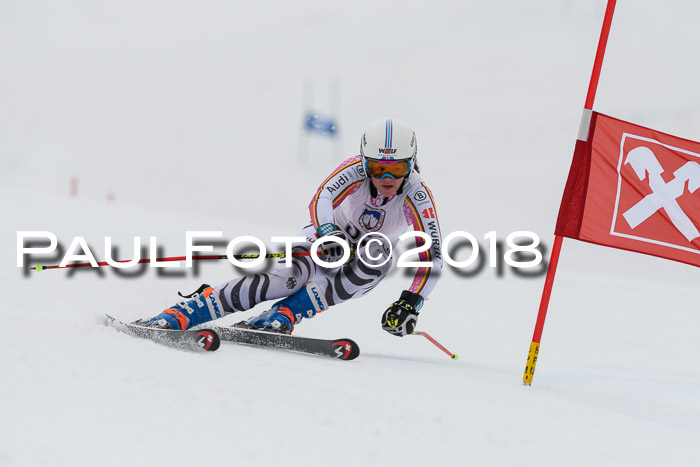 Int. FIS Rennen Damen, RS, Maria Alm 09.01.2018