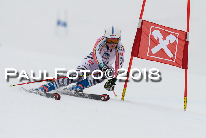 Int. FIS Rennen Damen, RS, Maria Alm 09.01.2018
