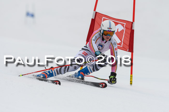 Int. FIS Rennen Damen, RS, Maria Alm 09.01.2018
