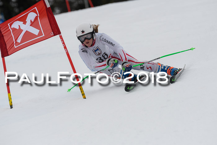 Int. FIS Rennen Damen, RS, Maria Alm 09.01.2018