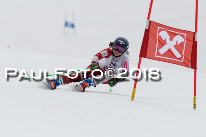 Int. FIS Rennen Damen, RS, Maria Alm 09.01.2018