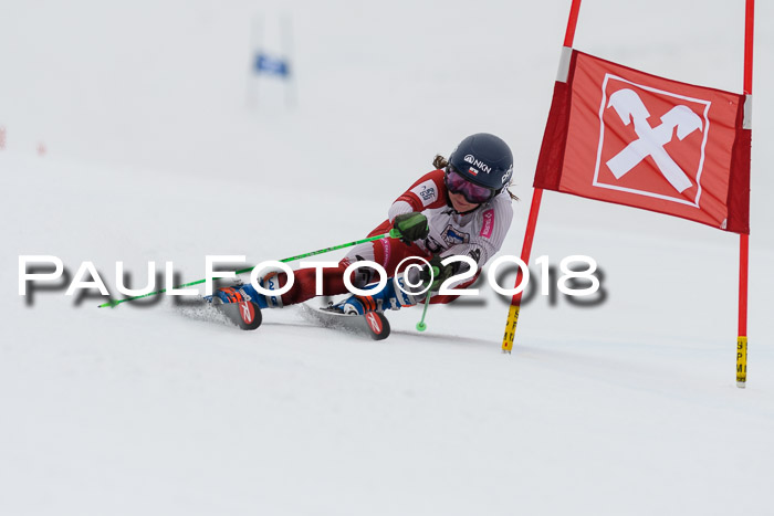Int. FIS Rennen Damen, RS, Maria Alm 09.01.2018