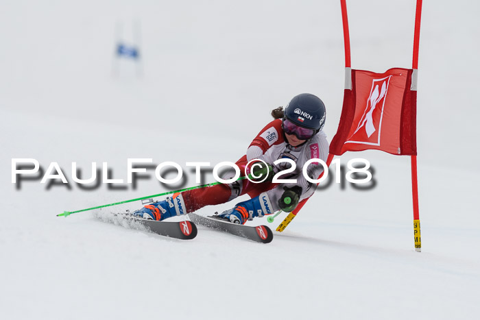 Int. FIS Rennen Damen, RS, Maria Alm 09.01.2018