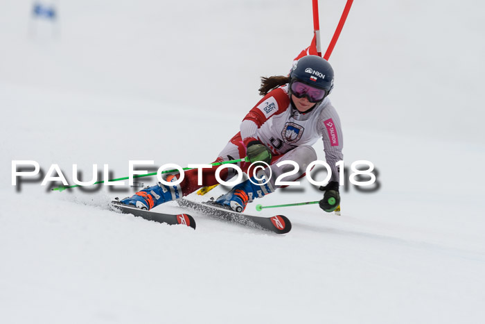 Int. FIS Rennen Damen, RS, Maria Alm 09.01.2018
