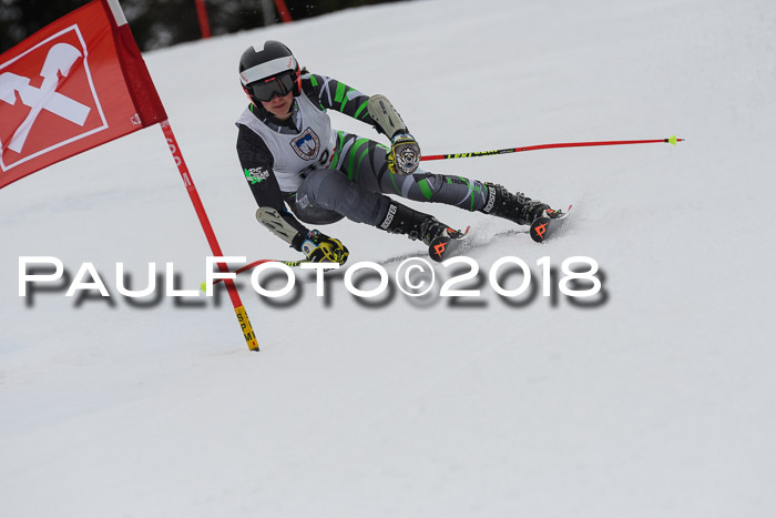 Int. FIS Rennen Damen, RS, Maria Alm 09.01.2018