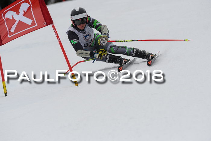 Int. FIS Rennen Damen, RS, Maria Alm 09.01.2018