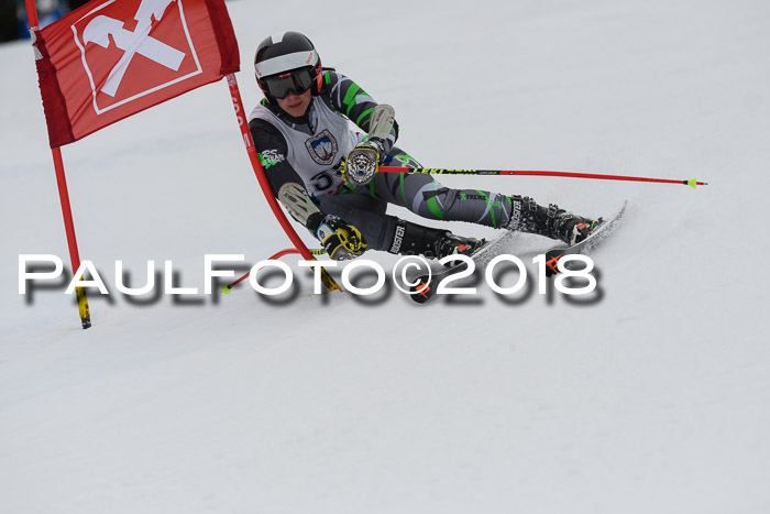 Int. FIS Rennen Damen, RS, Maria Alm 09.01.2018