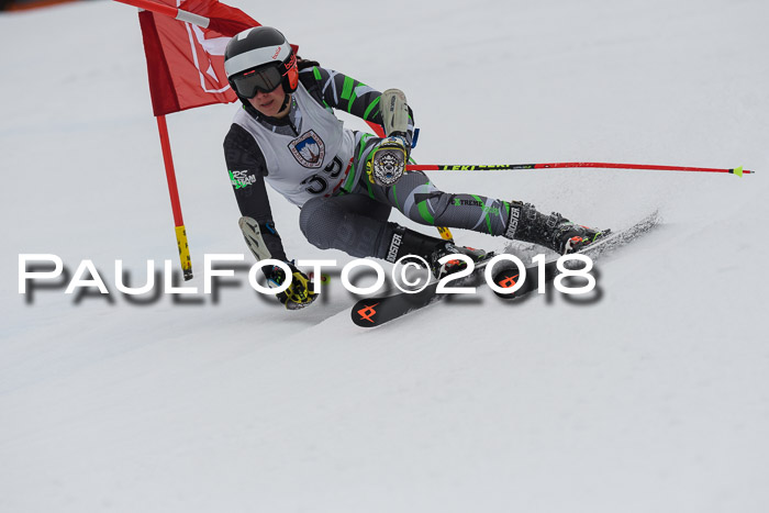 Int. FIS Rennen Damen, RS, Maria Alm 09.01.2018