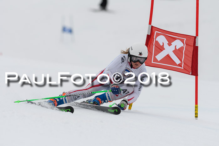 Int. FIS Rennen Damen, RS, Maria Alm 09.01.2018