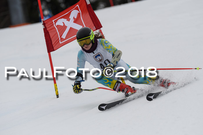 Int. FIS Rennen Damen, RS, Maria Alm 09.01.2018
