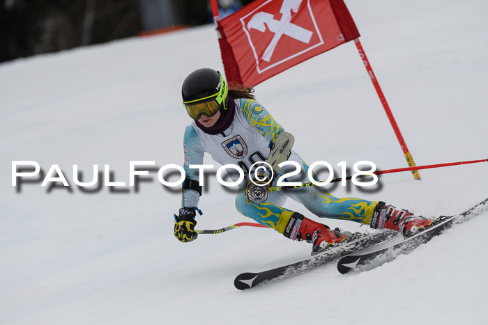 Int. FIS Rennen Damen, RS, Maria Alm 09.01.2018